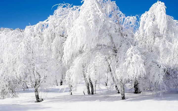 Көн кадагындагы тема: Термометр ничә градус күрсәтә?