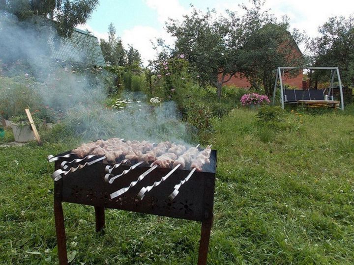 Бакчачылар өчен яхшы яңалык