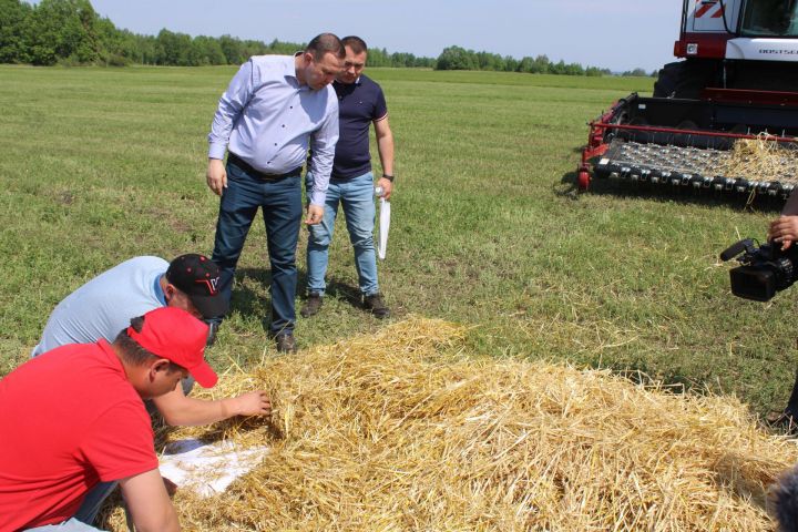 Бүген Актанышта республикакүләм Сенаж көне узды (фотолар)