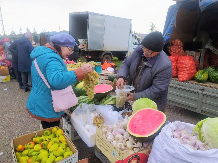 Актанышта беренче көзге ярминкә 7 октябрьдә булачак