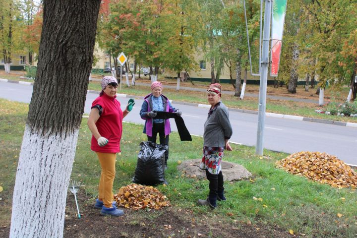 Бергә башкарган эшнең нәтиҗәсе була: Экологик өмәләр башланып китте