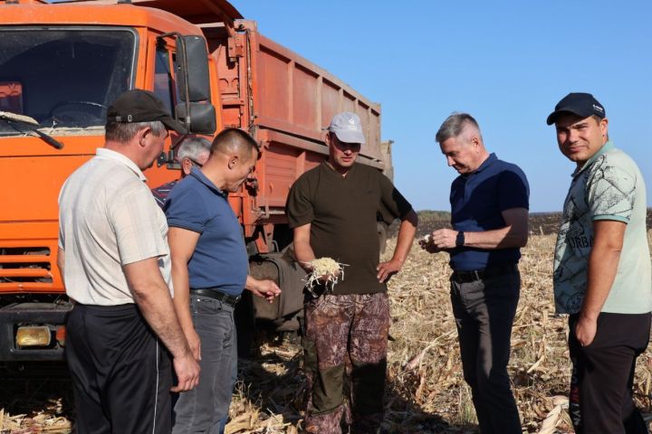 Җитди караш сорый: Басулардан репортаж