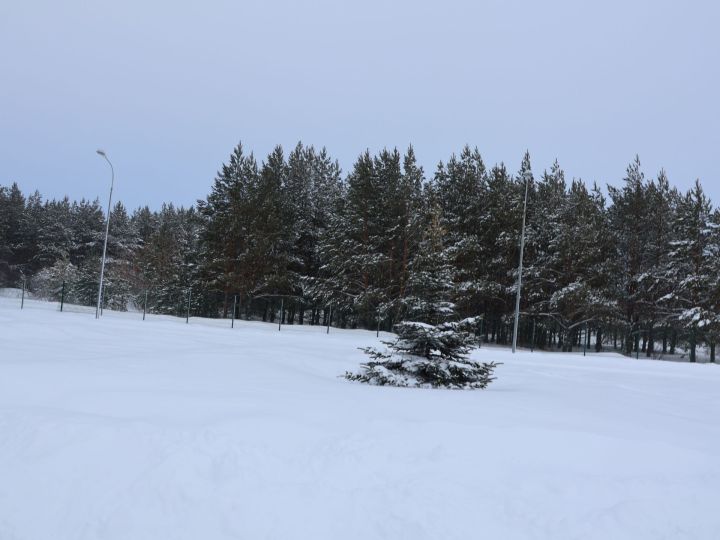 Кыш бабай призына өстәл теннисы ярышы