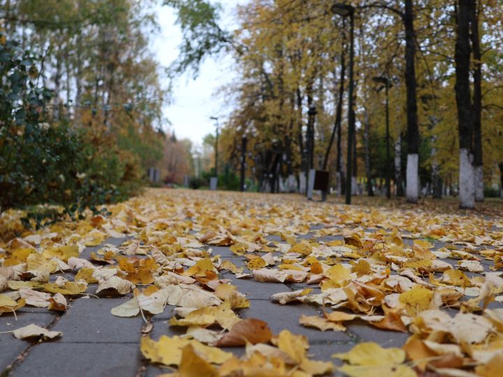 “Бер тырмага ике тапкыр басмыйлар”: 3 ноябрь - 6 ноябрьгә йолдызнамә