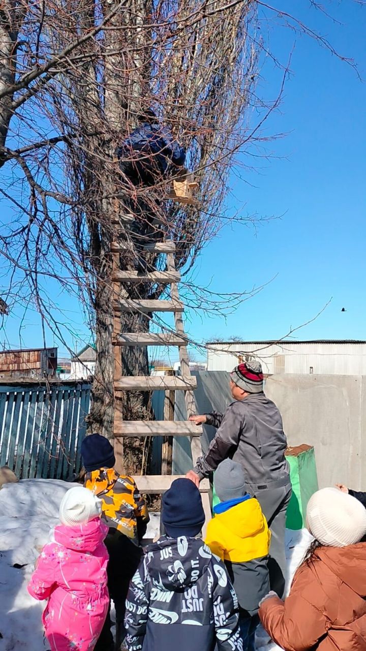 Яңа Әлем балалар бакчасына йөрүчеләрнең әтиләре сыерчык оялары ясап урманчылык хуҗалыгына тапшырды