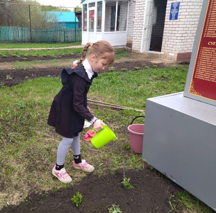 Бәйрәм алдыннан Кыркаентүбә, Иске Балтач, Яңа Балтач халкы Бөек Җиңү обелисклары бакчасын чистартты