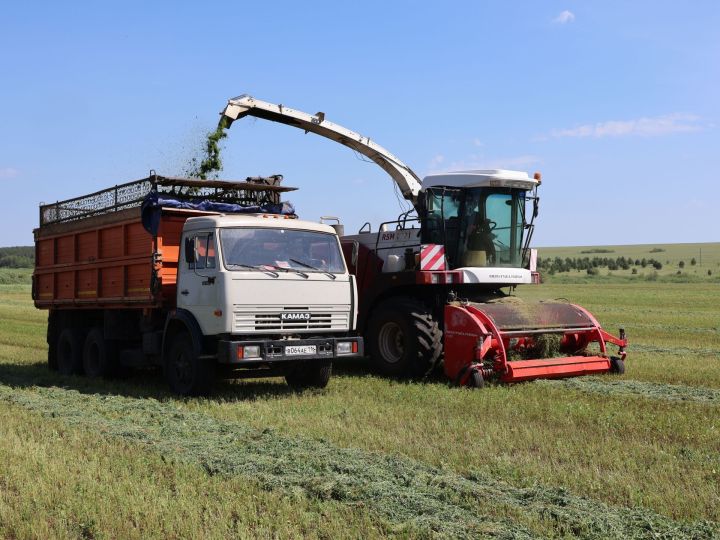 «Әнәк» агрофирмасында Татарстанда беренчеләрдән булып терлек азыгы әзерли башладылар